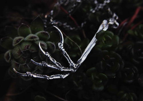 silver blackbird claw on a dark plant background