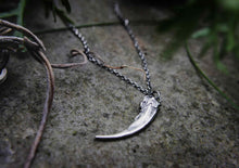silver badger claw pendant sitting on a rock