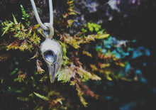 silver skull pendant on moss background